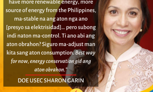 ‘Let’s conserve energy’  – DOE Usec Sharon Garin